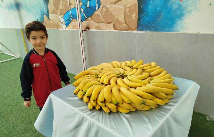 توزیع میانوعده 4