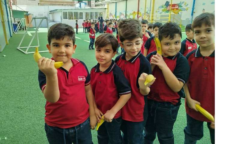 توزیع میانوعده 4