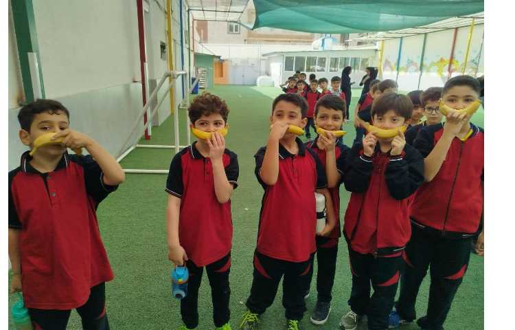 توزیع میانوعده 4