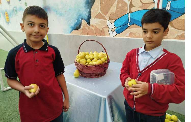 توزیع میانوعده 4