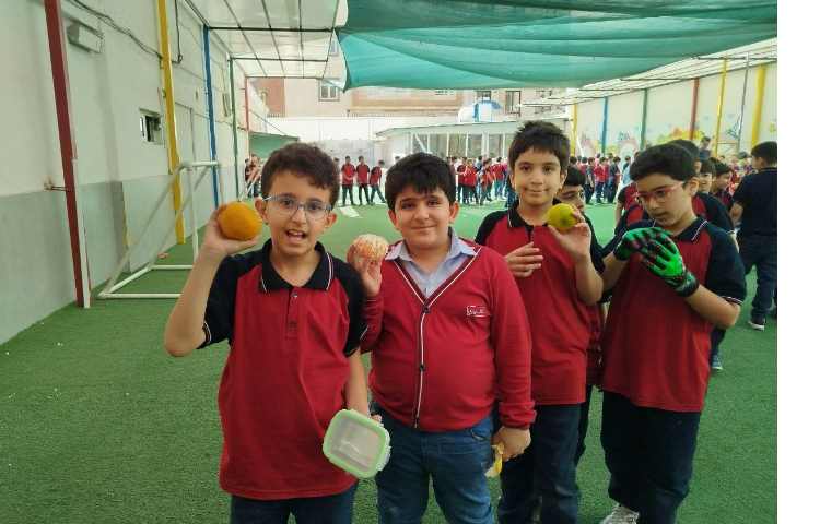 توزیع میانوعده 4