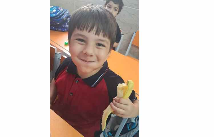 توزیع میانوعده 4