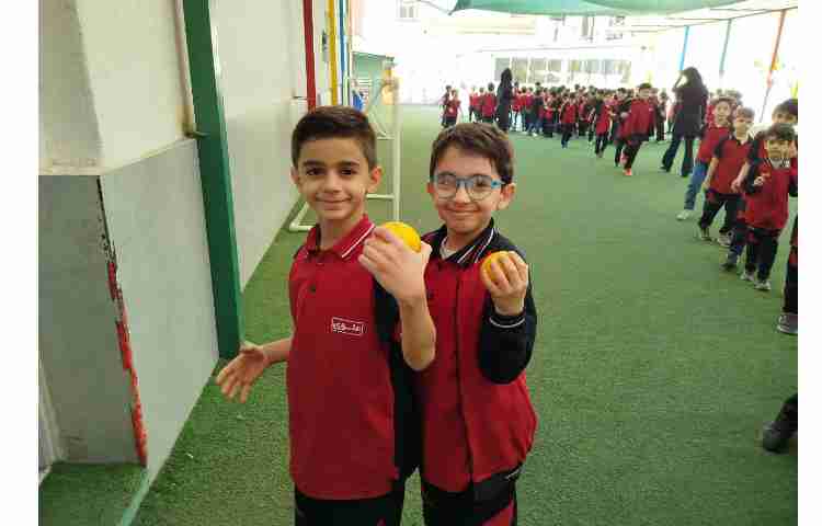 توزیع میانوعده 4