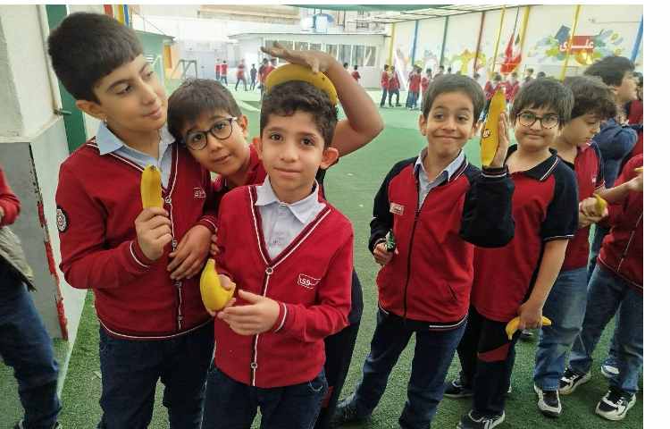 توزیع میانوعده 4