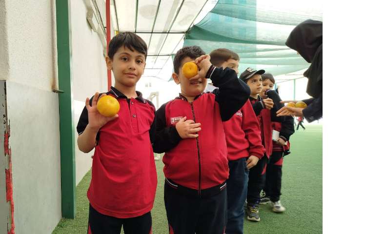 توزیع میانوعده 4