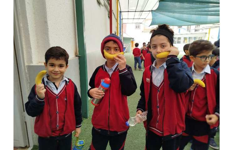 توزیع میانوعده 4