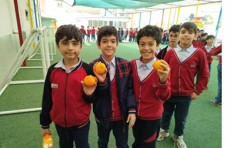 توزیع میانوعده 4