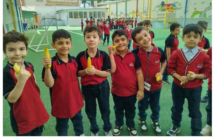 توزیع میانوعده 5