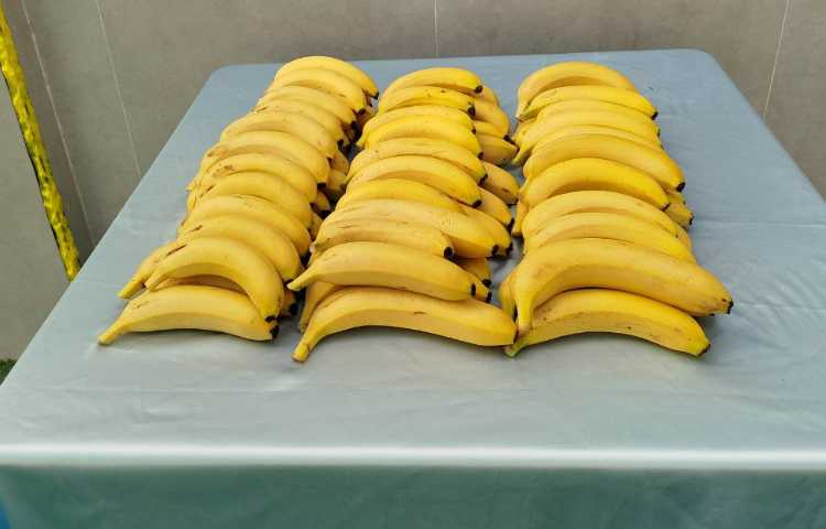 توزیع میانوعده 5