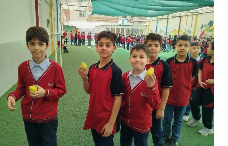 توزیع میانوعده 5