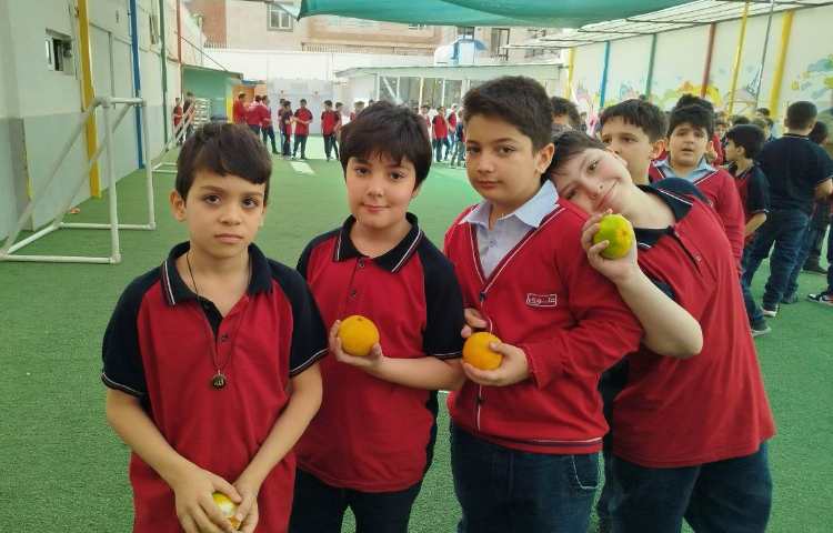 توزیع میانوعده 5