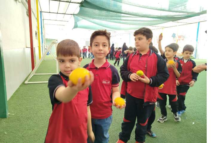 توزیع میانوعده 5