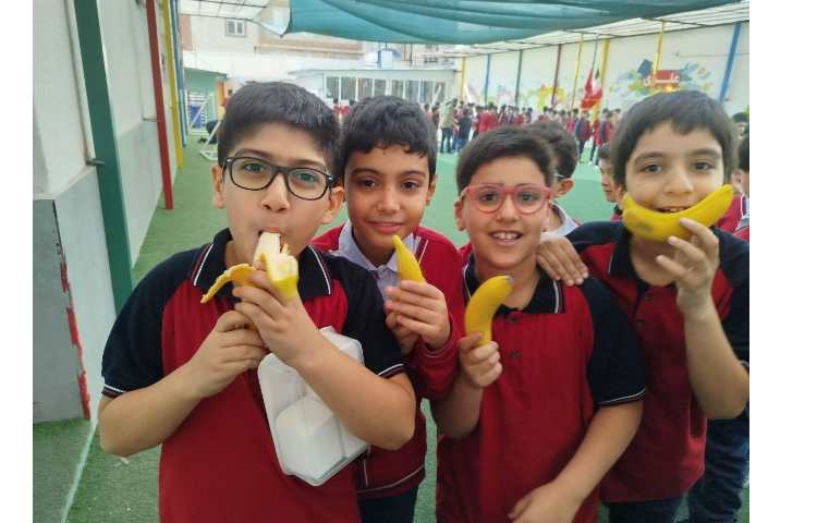 توزیع میانوعده 5