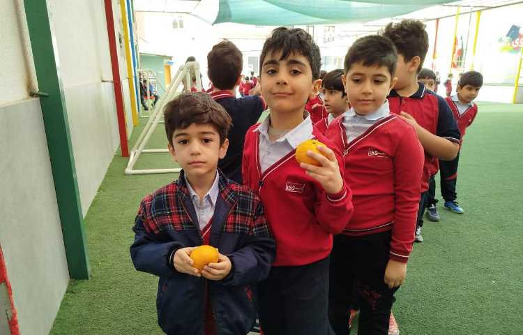 توزیع میانوعده 5