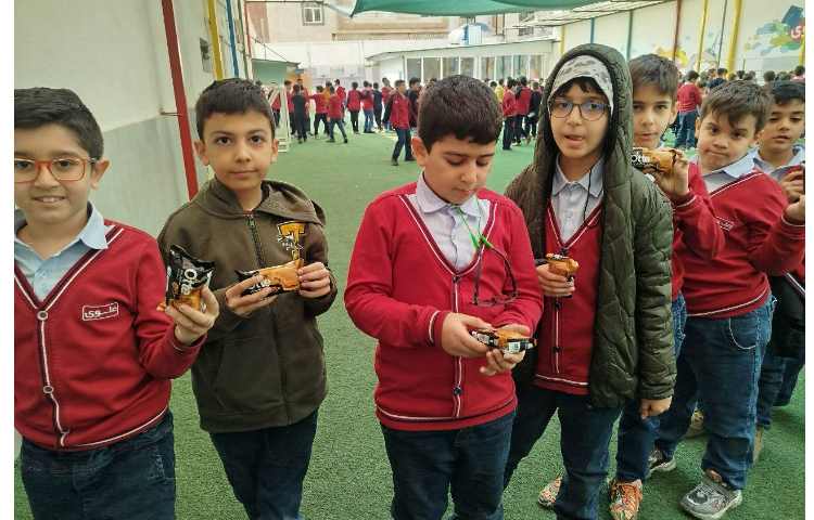 توزیع میانوعده 5