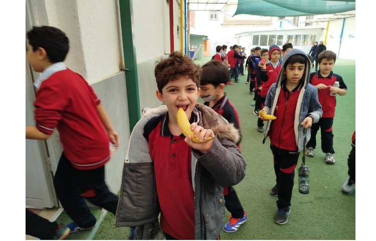 توزیع میانوعده 5