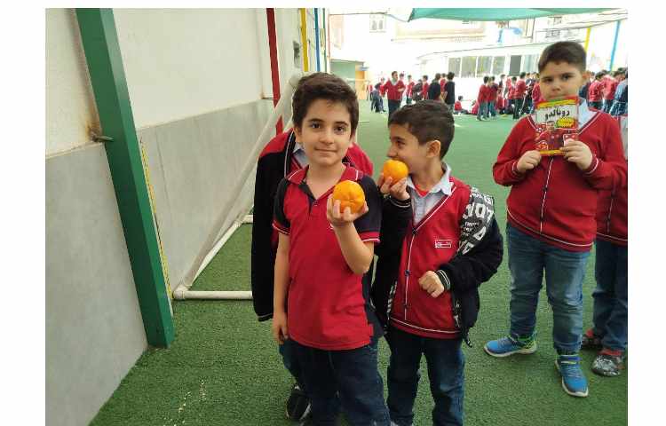 توزیع میانوعده 5