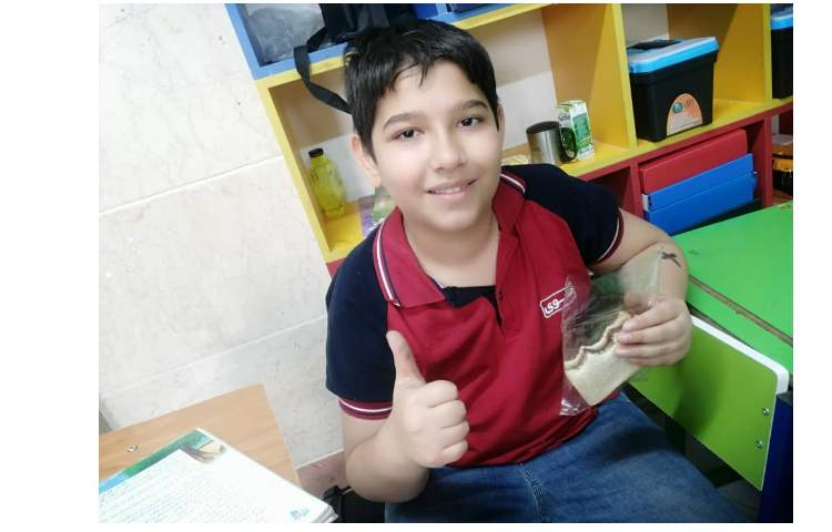 توزیع میانوعده 6