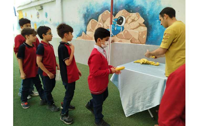 توزیع میانوعده 6