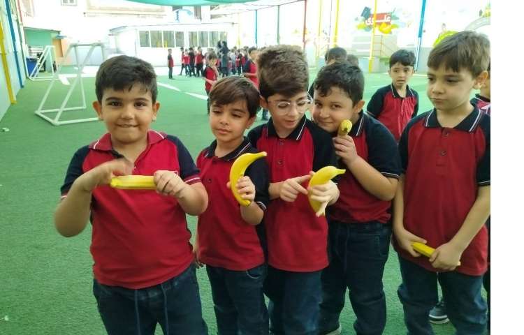 توزیع میانوعده 6