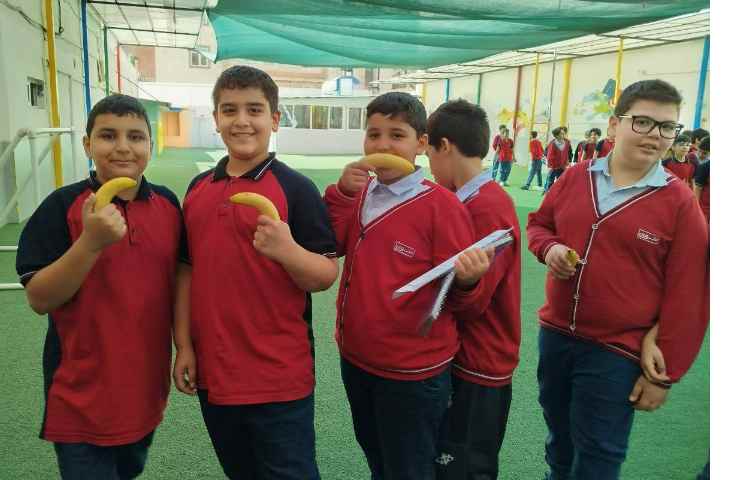 توزیع میانوعده 6