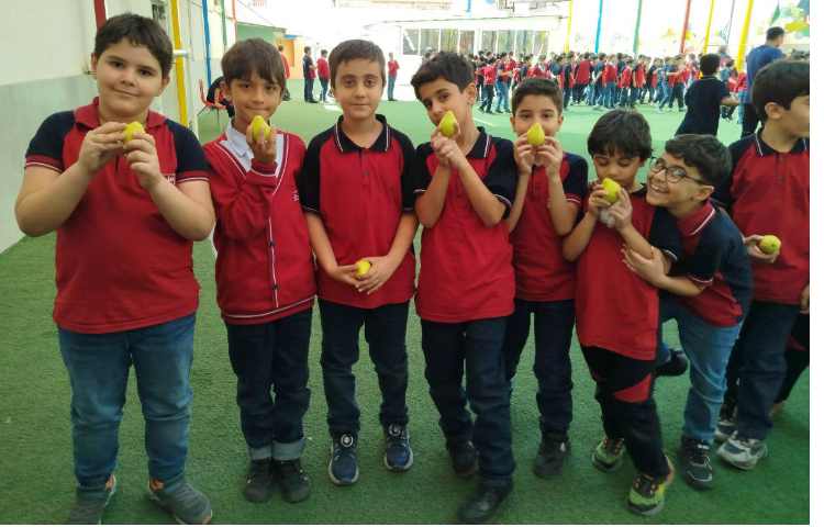 توزیع میانوعده 6