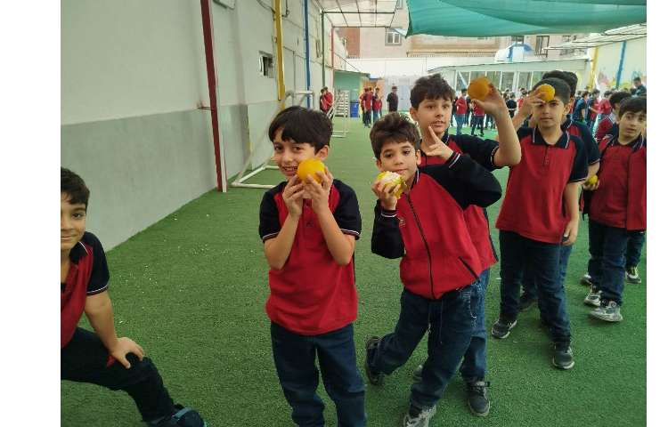 توزیع میانوعده 6