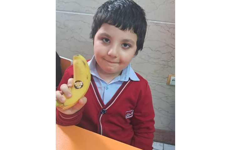 توزیع میانوعده 6