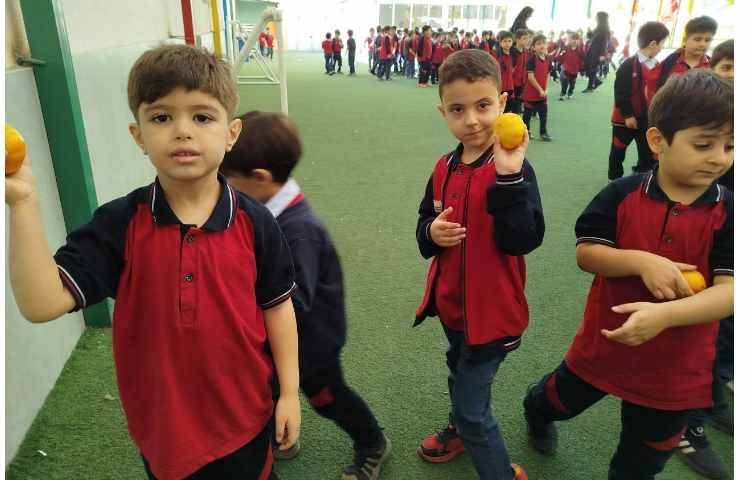 توزیع میانوعده 6