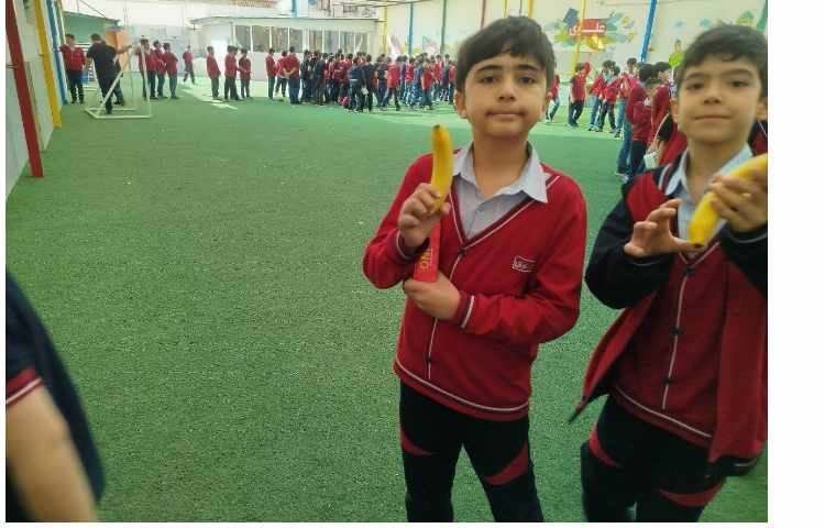 توزیع میانوعده 6