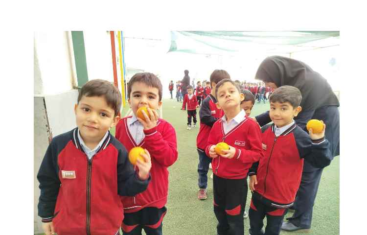 توزیع میانوعده 6