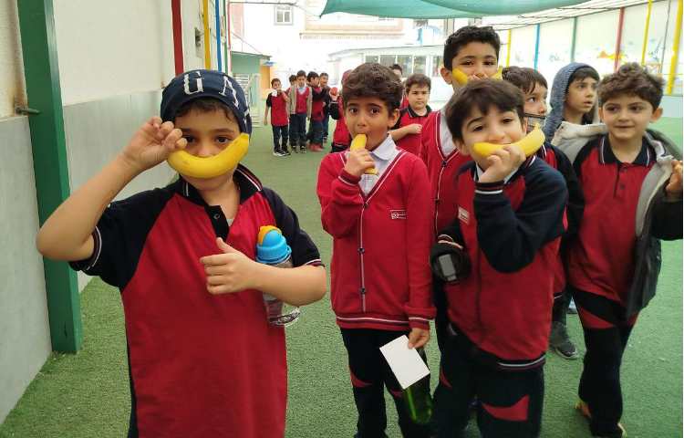 توزیع میانوعده 6