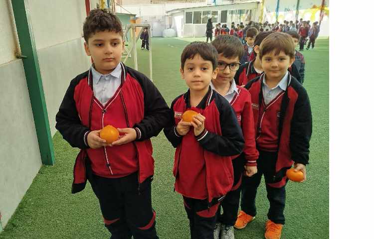 توزیع میانوعده 6