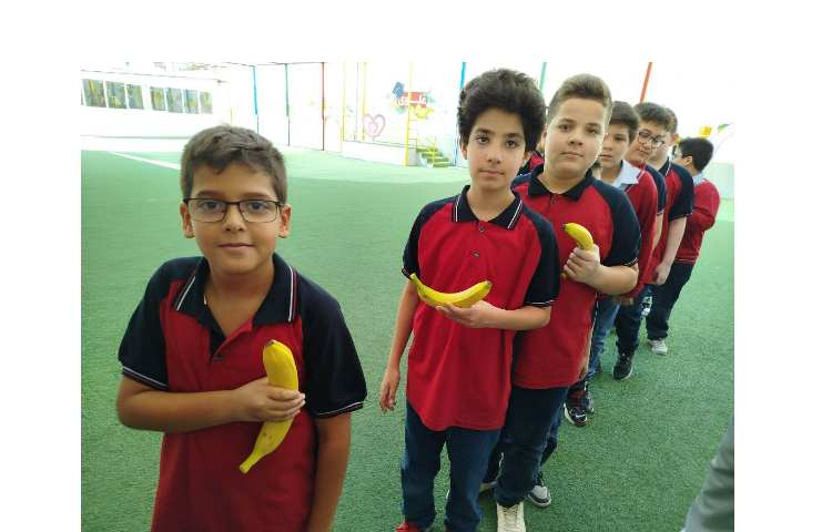 توزیع میانوعده 7