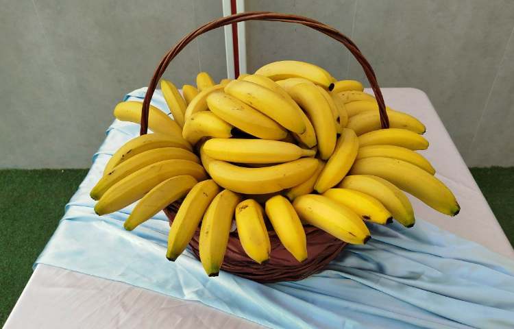 توزیع میانوعده 7