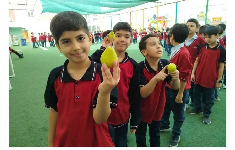 توزیع میانوعده 7