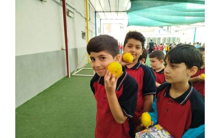 توزیع میانوعده 7