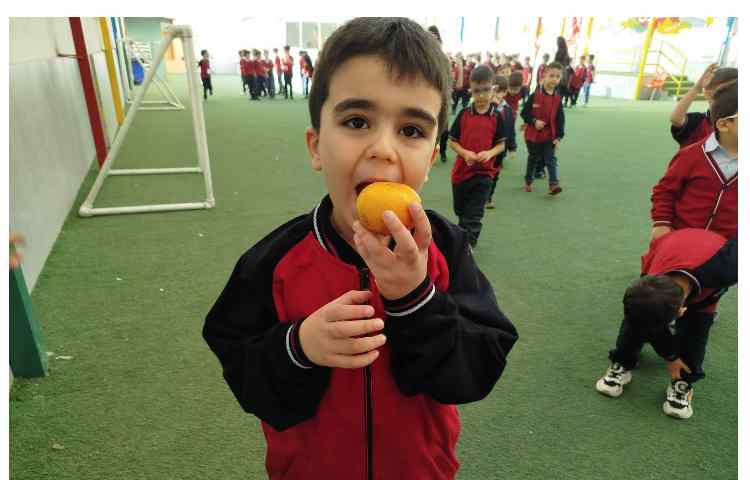 توزیع میانوعده 7