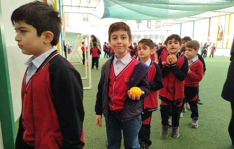 توزیع میانوعده 7