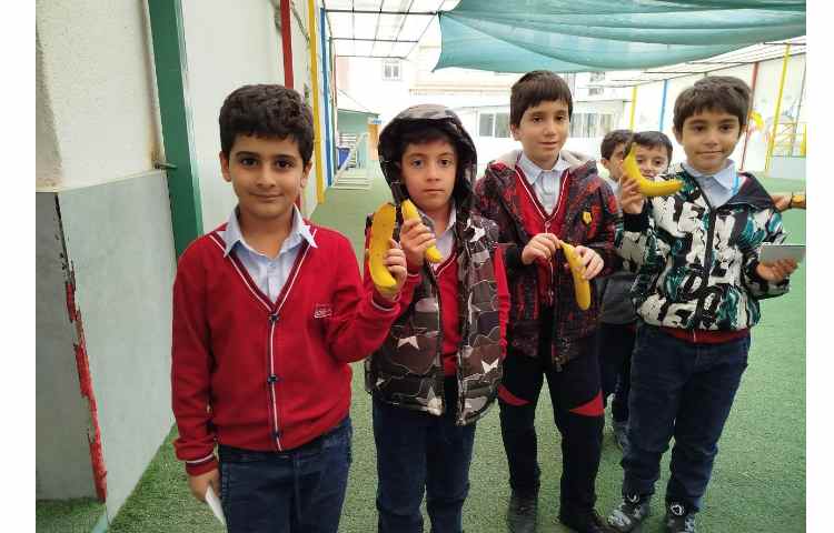 توزیع میانوعده 7