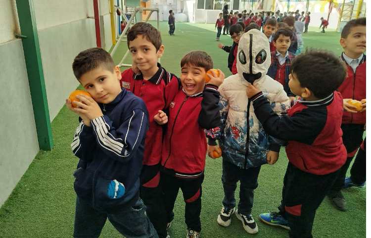 توزیع میانوعده 7