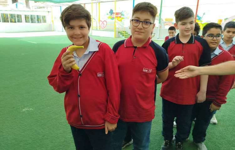 توزیع میانوعده 8