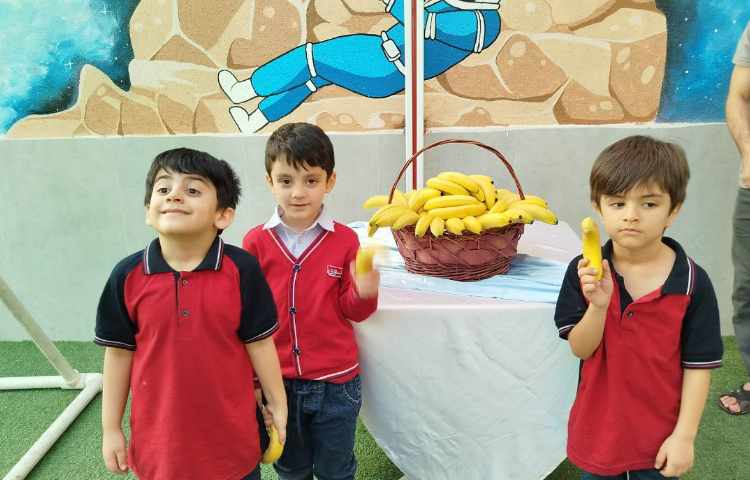 توزیع میانوعده 8