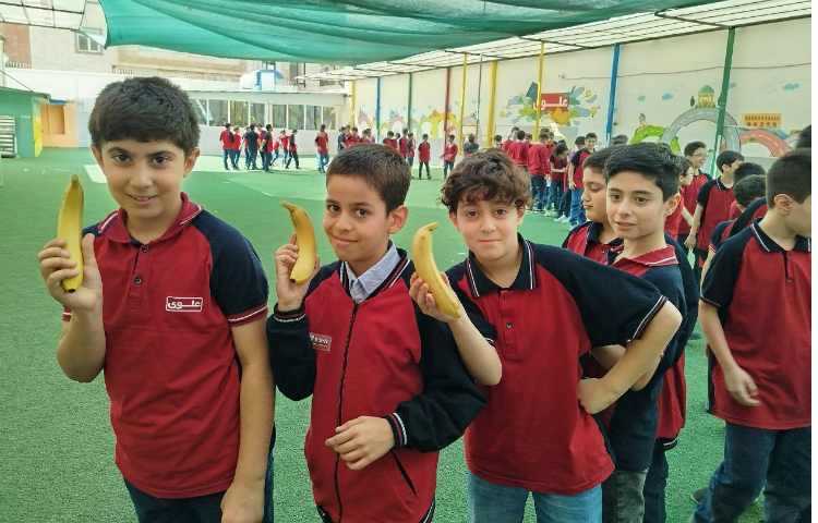 توزیع میانوعده 8