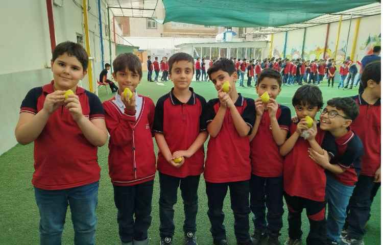 توزیع میانوعده 8