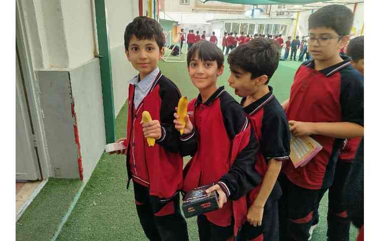 توزیع میانوعده 8