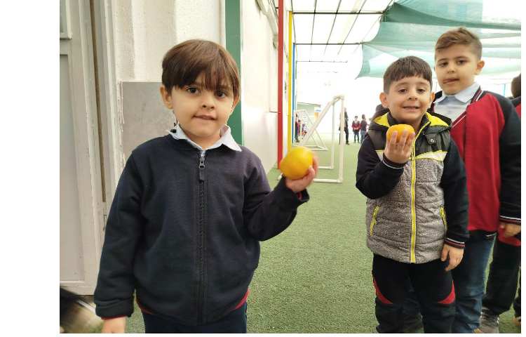 توزیع میانوعده 8