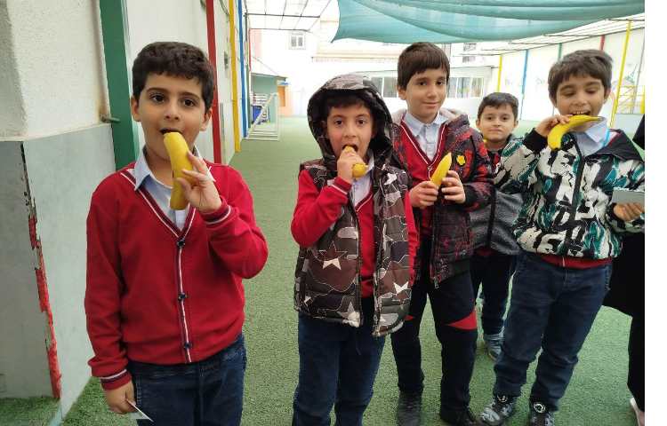 توزیع میانوعده 8