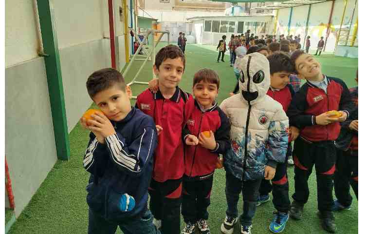 توزیع میانوعده 8