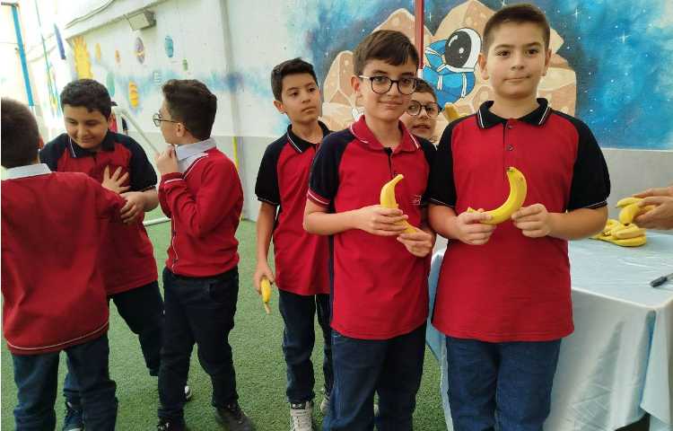 توزیع میانوعده 9